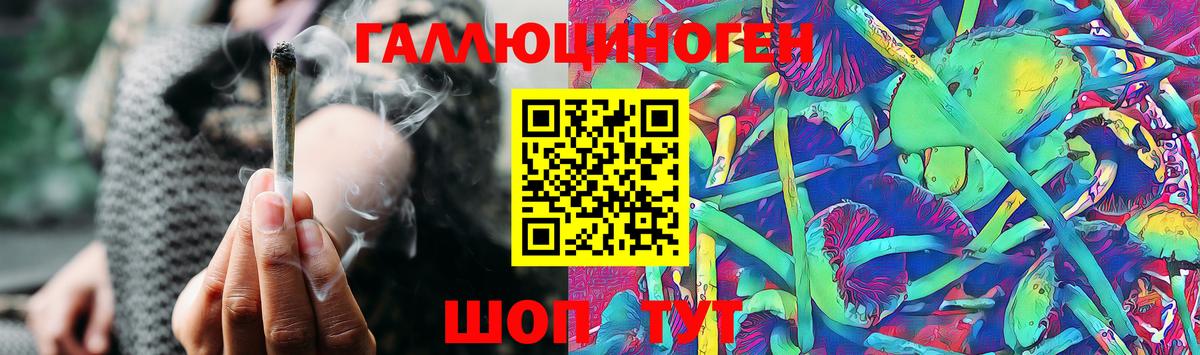 Галлюциногенные грибы GOLDEN TEACHER Коммунар